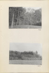 EP - Ewidencja parkowa, skan nr 20