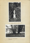 EP - Ewidencja parkowa, skan nr 22