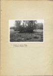 EP - Ewidencja parkowa, skan nr 24