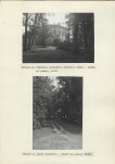 Ewidencja parkowa, skan nr 22