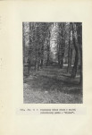 Ewidencja parkowa, skan nr 20