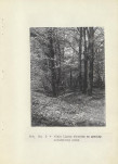 Ewidencja parkowa, skan nr 21