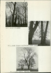 Ewidencja parkowa, skan nr 15