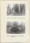 Ewidencja parkowa, skan nr 21