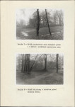 Ewidencja parkowa, skan nr 22