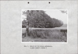 Ewidencja parkowa, skan nr 30
