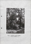 Ewidencja parkowa, skan nr 30