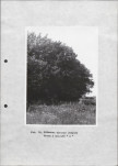 Ewidencja parkowa, skan nr 32