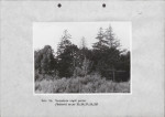 Ewidencja parkowa, skan nr 34