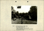 Ewidencja parkowa, skan nr 32