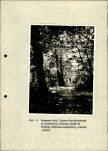 Ewidencja parkowa, skan nr 37