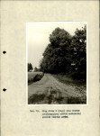 Ewidencja parkowa, skan nr 46