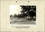 Ewidencja parkowa, skan nr 19