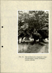 Ewidencja parkowa, skan nr 30