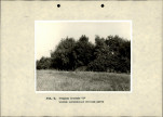 Ewidencja parkowa, skan nr 32
