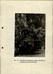 Ewidencja parkowa, skan nr 33