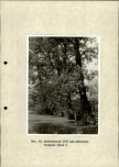 Ewidencja parkowa, skan nr 36