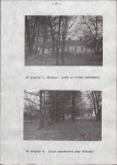 Ewidencja parkowa, skan nr 25