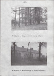 Ewidencja parkowa, skan nr 26