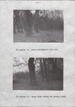 Ewidencja parkowa, skan nr 28