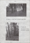 Ewidencja parkowa, skan nr 29