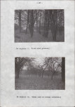 Ewidencja parkowa, skan nr 30
