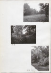 Ewidencja parkowa, skan nr 21