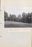 Ewidencja parkowa, skan nr 41
