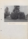 Ewidencja parkowa, skan nr 44
