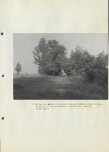 Ewidencja parkowa, skan nr 50