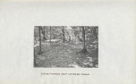 Ewidencja parkowa, skan nr 22