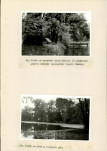 EP - Ewidencja parkowa, skan nr 48