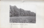 Ewidencja parkowa, skan nr 34
