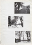 Ewidencja parkowa, skan nr 28