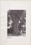 Ewidencja parkowa, skan nr 20