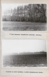 Ewidencja parkowa, skan nr 34