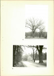 Ewidencja parkowa, skan nr 17