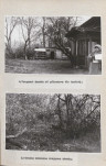 Ewidencja parkowa, skan nr 27