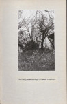 Ewidencja parkowa, skan nr 28