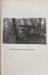 Ewidencja parkowa, skan nr 29
