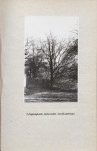 Ewidencja parkowa, skan nr 31