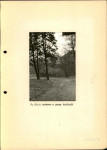EP - Ewidencja parkowa, skan nr 21