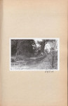 Ewidencja parkowa, skan nr 26