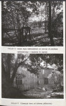 Ewidencja parkowa, skan nr 30
