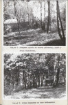 Ewidencja parkowa, skan nr 33