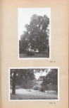 Ewidencja parkowa, skan nr 22