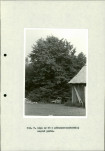 Ewidencja parkowa, skan nr 34