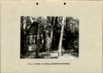 Ewidencja parkowa, skan nr 23