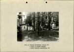 Ewidencja parkowa, skan nr 29