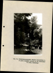 Ewidencja parkowa, skan nr 32